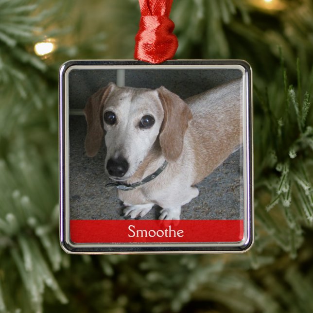 Ornamento Personalizado de Cães de Foto (Árvore)