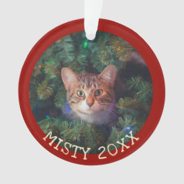 Ornamento Personalizar Meu Primeiro Segmento De Gato De Nata