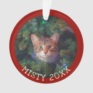 Ornamento Personalizar Meu Primeiro Segmento De Gato De Nata