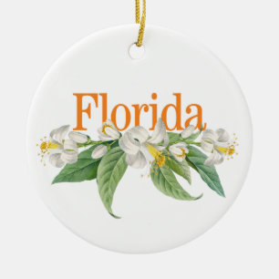 Ornamento Personalizável da Flórida com Laranja Bl