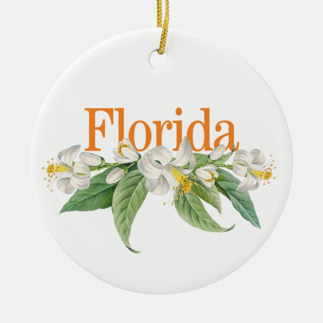 Ornamento Personalizável da Flórida com Laranja Bl (Frente)