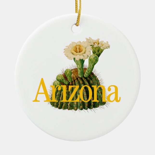 Ornamento personalizável de Arizonas com Saguaro C (Frente)
