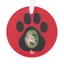 (Personalize) nome da foto do animal de estimação