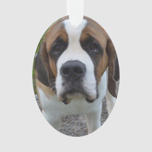 Ornamento Personalize o produto (Frente)