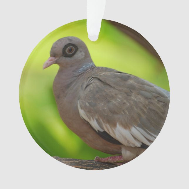 Ornamento Personalize o produto (Frente)