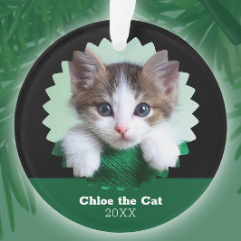 Ornamento Personalized Green and Black Photo of Cat on