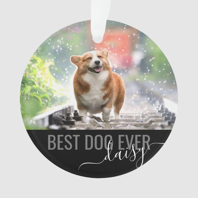 Ornamento Pet Best Dog Nunca Foto Moderna Personalizada (Frente)