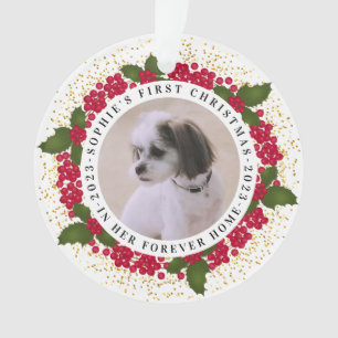 Ornamento Pet Forever Home Primeiro Natal