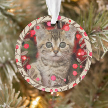 Pet Foto Ano Comemorativo Keepsasasak w Reindeer