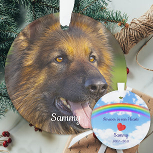 Ornamento Pet Losd Rainbow Bridge Pet Dog Foto Memorial