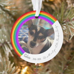 Ornamento Pet Memorial Acrylic Ornament