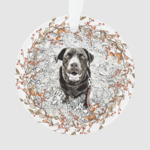 Ornamento Pet Memorial Fall Wreath Name Datas Texto Foto