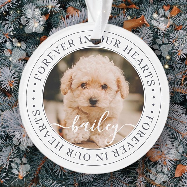 Ornamento Pet Memorial Forever Hearts Elegante Foto Chic (Criador carregado)