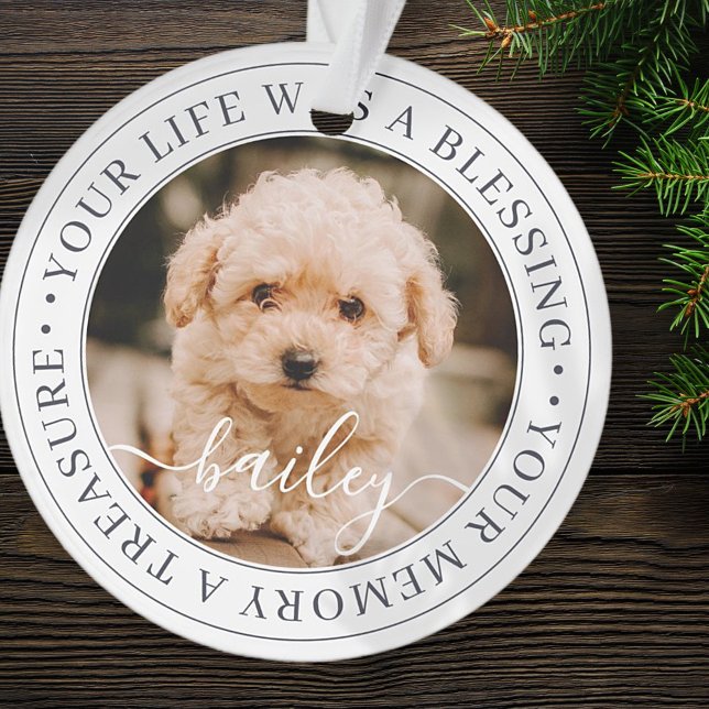 Ornamento Pet Memorial Treasured Memory Imagem Chic Elegante (Criador carregado)