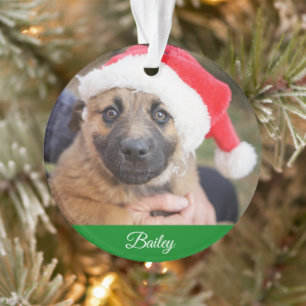 Ornamento Pet Personalizado Pine Clássico Natal
