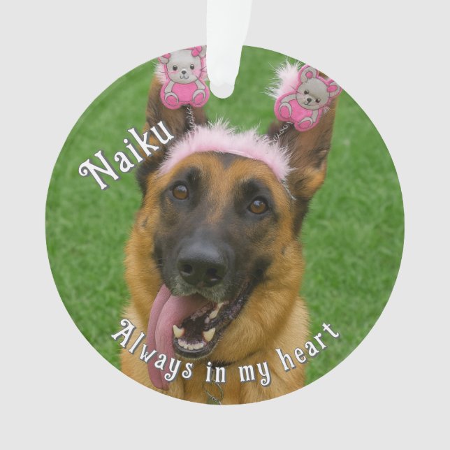 Ornamento Pet Photo Acrylic Memorial Ornament (Frente)