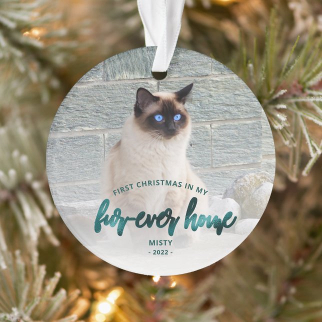 Ornamento Pet Photo First Christmas Forever Home Teal Green (Árvore)