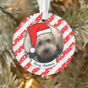 Ornamento Pet Photo First Christmas Santa Hat HO HO HO Bonit