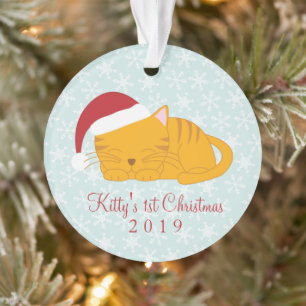 Ornamento Pet Photo - Gato de Tabby Laranja Personalizado