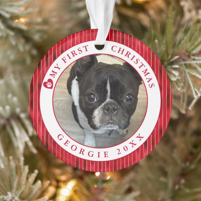 Ornamento Pet Photo My First Christmas (Árvore)
