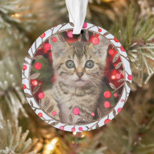 Ornamento Pet Photo + Year & Watercolor Reindeer Pastel Blue