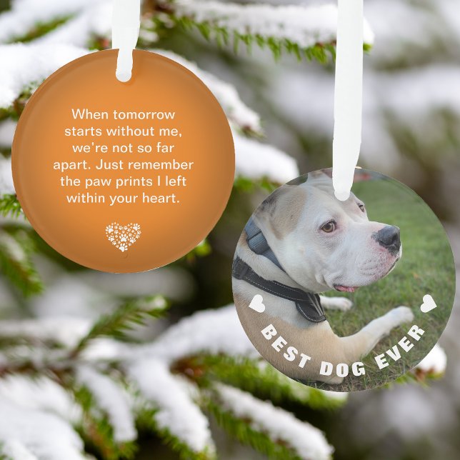 Ornamento Pet Poem Foto do Memorial Laranja-Cão (Dog Pet Poem Photo Orange Memorial Keepsake Ornament)