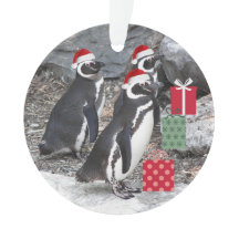 Pinguins Vestindo Feriado de Papai Noel
