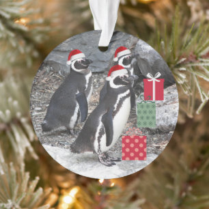 Ornamento Pinguins Vestindo o Natal Hats