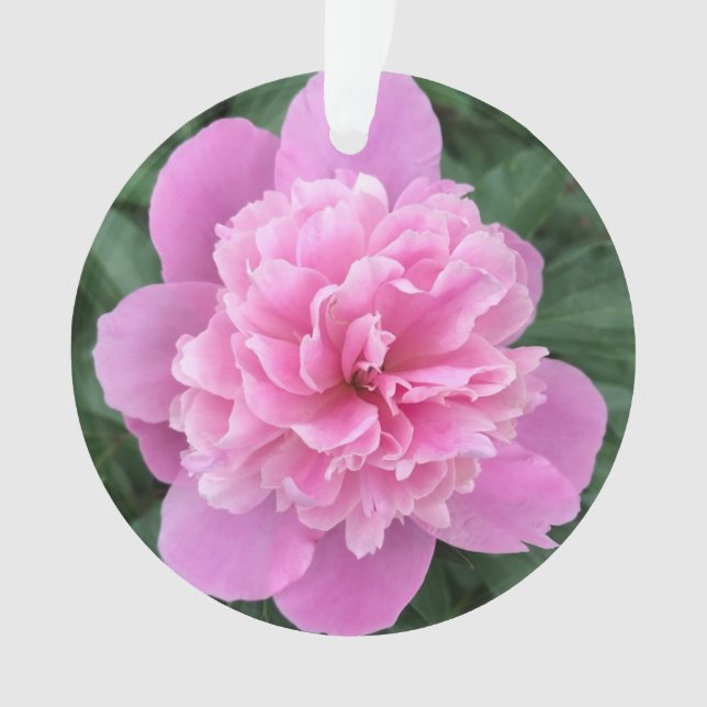 Ornamento Pink Peony (Frente)