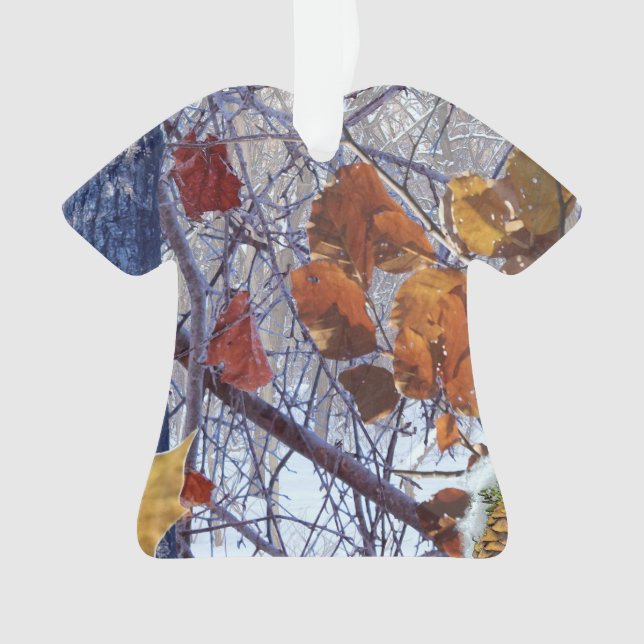 Ornamento Pintura da Primeira Cena de Inverno da Neve (Frente)