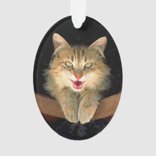 Ornamento Pintura de Gatos Loucos - Arte de Gato Original Bo