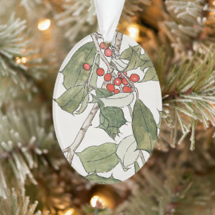 Ornamento Pintura em Aquarela de Azevinho, Hannah Borger Ove