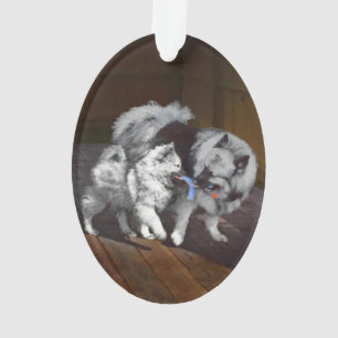 Ornamento Pintura em tempo de reprodução de Keeshond - Arte