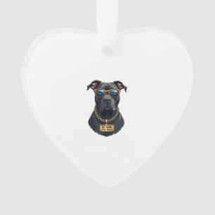 Ornamento Pitbull Legal em Óculos de Sol com Corrente de Our