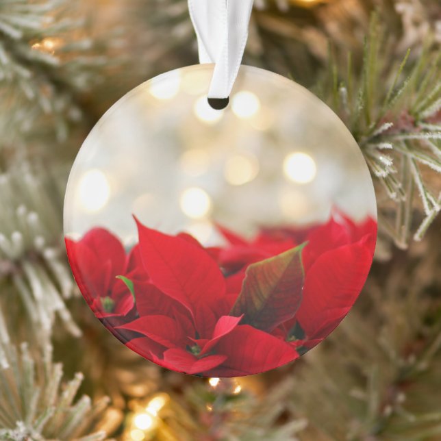 Ornamento Poinsettia de Natal (Árvore)