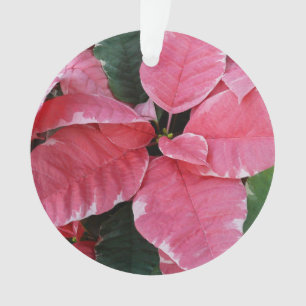 Ornamento Poinsettias Rosa de Mármore Estrela de Prata Flora