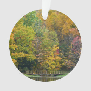 Ornamento Ponte da Cachoeira Seven Springs II Paisagem de Ou