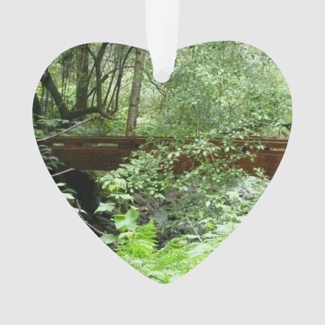 Ornamento Ponte Muir Woods I (Frente)