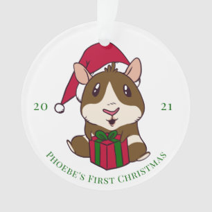 Ornamento Porquinho-da-Índia Natal Personalizado