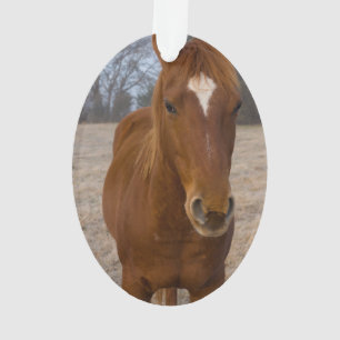 Ornamento Pose do cavalo