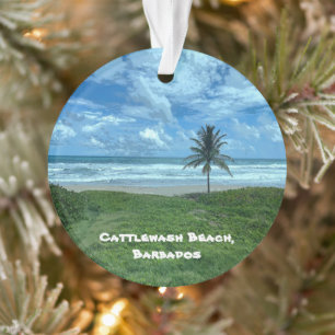 Ornamento Praia de lavagem de gado, Barbados