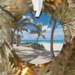 Ornamento Praias Tropicais | Anguilla Beach, Palm Tree<br><div class="desc">Esta incrível foto do Getty Images apresenta as melhores praias de Anguilla.</div>