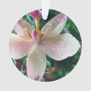 ORNAMENTO PRESENTE DE NATAL PARA MULHERES, NAMORADA MÃE