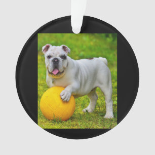 Ornamento Presente para Lover-in-touro de Bulldog de Basquet