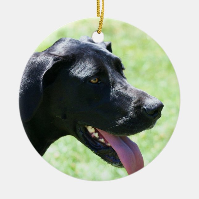 Ornamento preto de great dane (Frente)