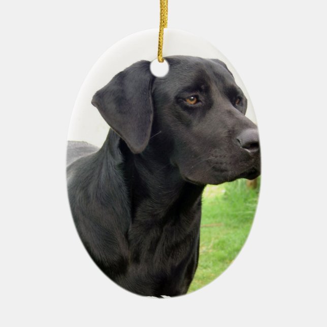 Ornamento preto de labrador retriever (Frente)