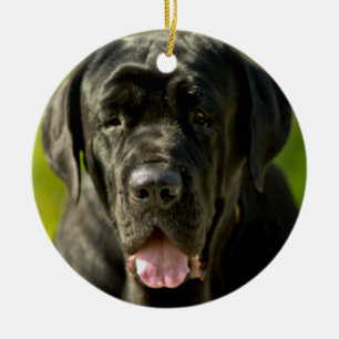 Ornamento preto do Mastiff