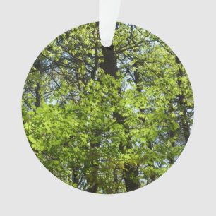 Ornamento Primavera Maple Deixa a natureza