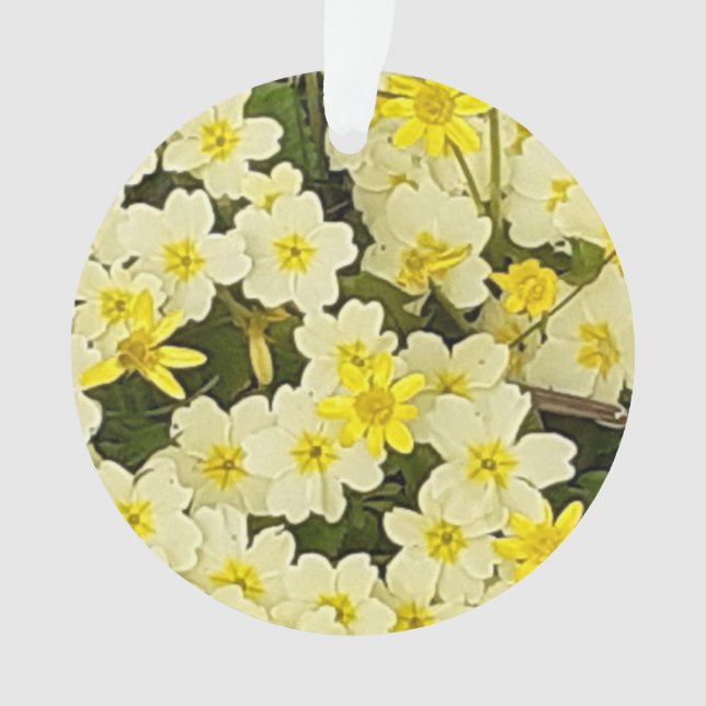Ornamento Primavera Primroses Acrilato (Frente)
