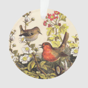 Ornamento Primavera Robin Birds Red Birds